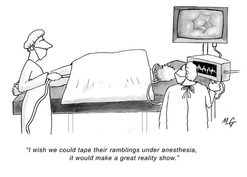 'I wish we could tape their ramblings under anesthesia, it would make a great reality show.'