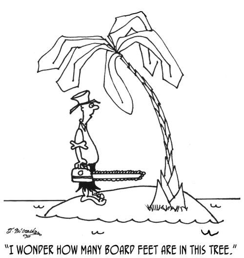 'I wonder how many board feet are in this tree.'