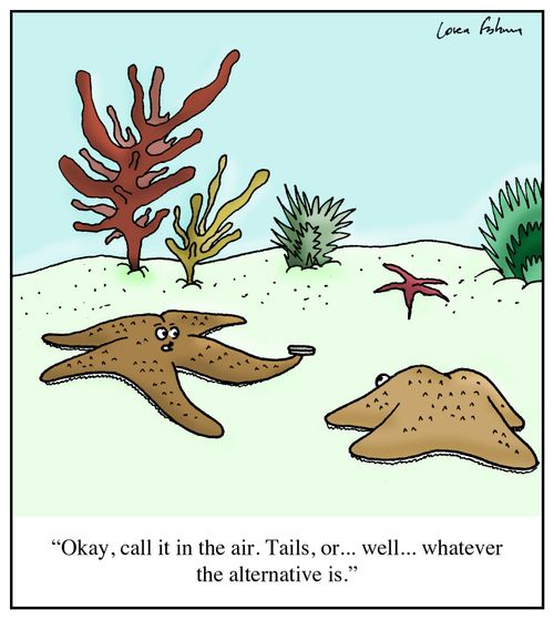 'Okay, call it in the air. Tails, or... well... whatever the alternative is.'