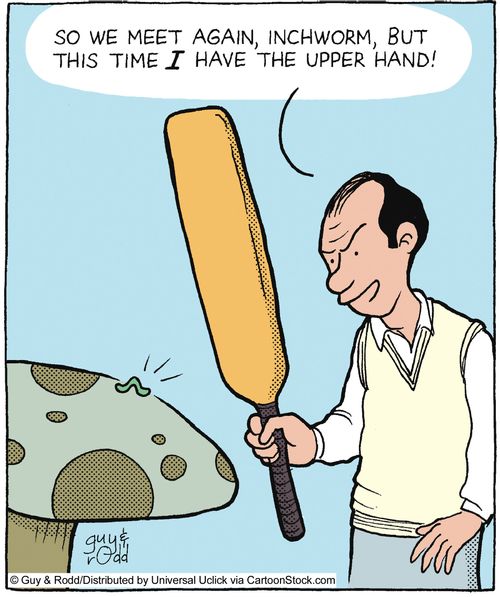 'So we meet again, inchworm, but this time I have the upper hand!'