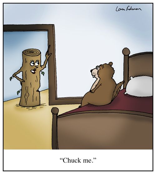 'Chuck me.'