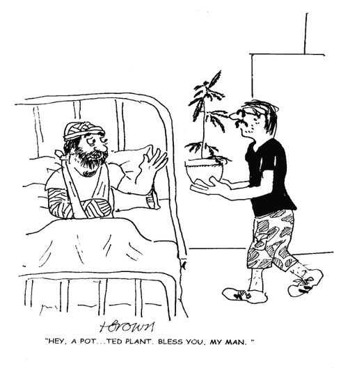 'Hey, a pot...ted plant. Bless you, my man.'