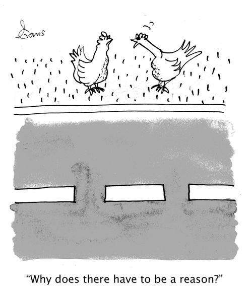 'Why does there have to be a reason?'