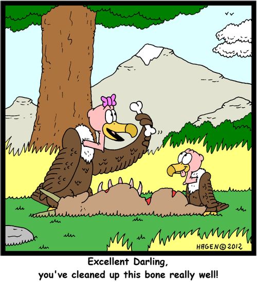 'Excellent Darling, you've cleaned up this bone really well!'