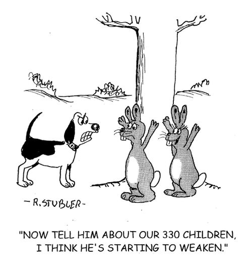 'Now tell him about our 330 children,I think he's starting to weaken.'
