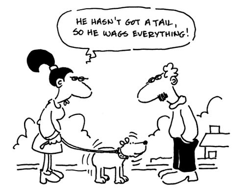 'He hasn't got a tail, so he wags everything.'