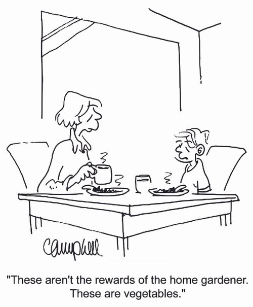 'These aren't the rewards of the home gardener. These are vegetables!'
