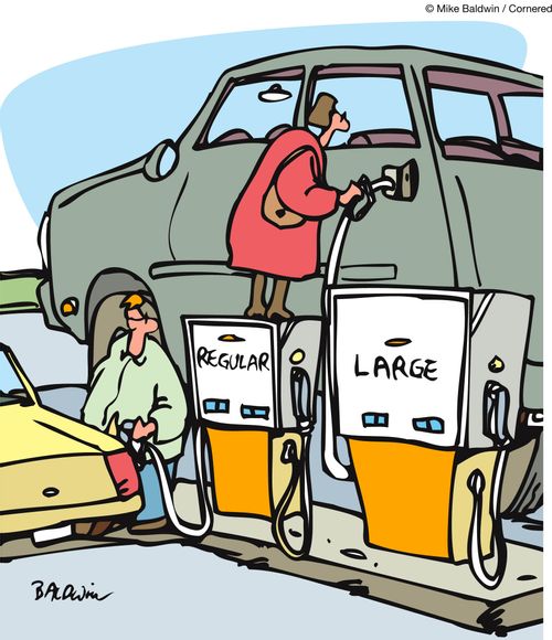Petrol for Regular and Large cars.