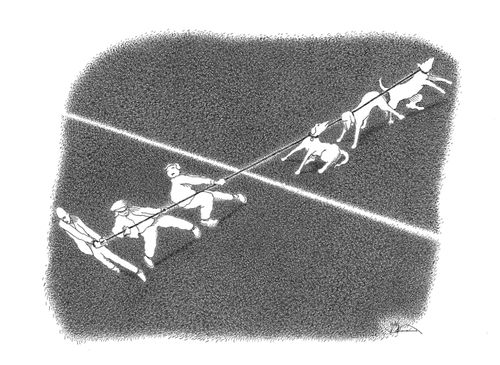 Tug of War: Human versus Canine.