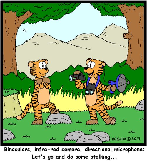 'Binocular, infra-red camera, directional microphone: Let's go and do some stalking...'