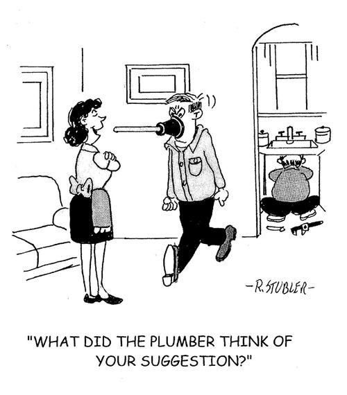 'What did the plumber think of your suggestion?'