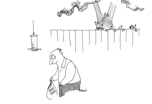 Man filling bird feeder is being watched by birds.