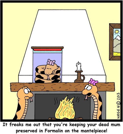 'It freaks me out that you're keeping your dead mum preserved in Formalin on the mantelpiece!'