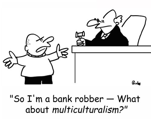 'So I'm a bank robber -- What about multiculturalism?'