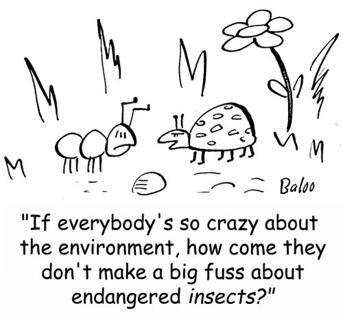 'If everybody's so crazy about the environment, how come they don't make a big fuss about endangered insects?'