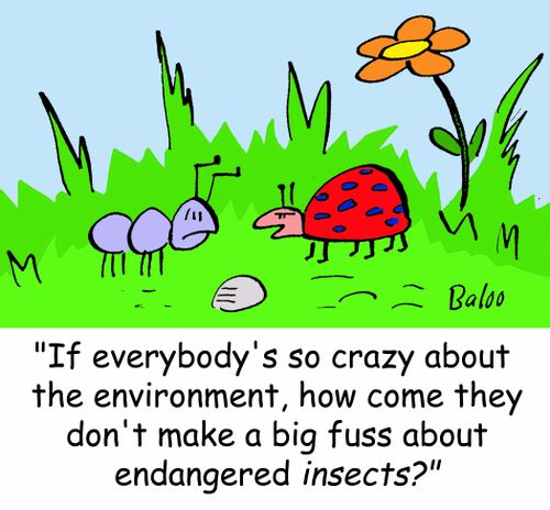 'If everybody's so crazy about the environment, how come they don't make a big fuss about endangered insects?'