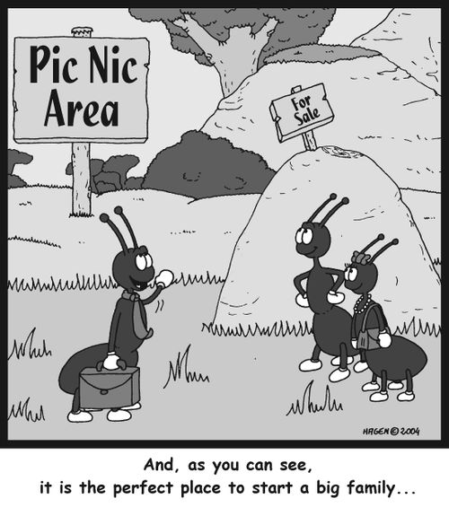 'And, as you can see, it is the perfect place to start a big family...'