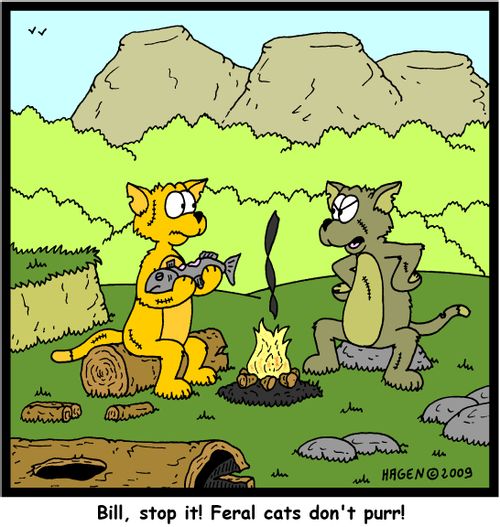 Bill, stop it! Feral cats don't purr!
