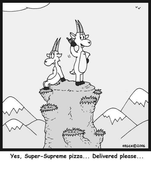 'Yes, Super-Supreme pizza... Delivered please...'
