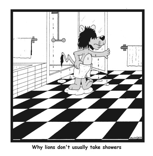 Why Lions Don't Usually Take Showers
