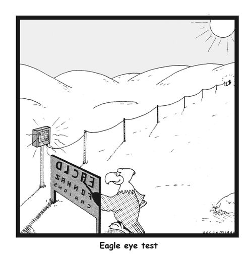 Eagle Eye Test