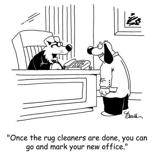 'Once the rug cleaners are done, you can go and mark your new office.'