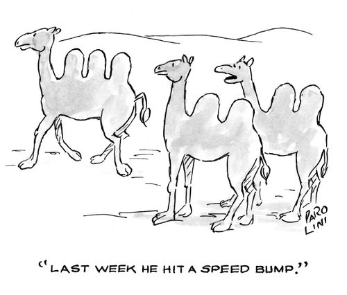 'Last week he hit a speed bump.'