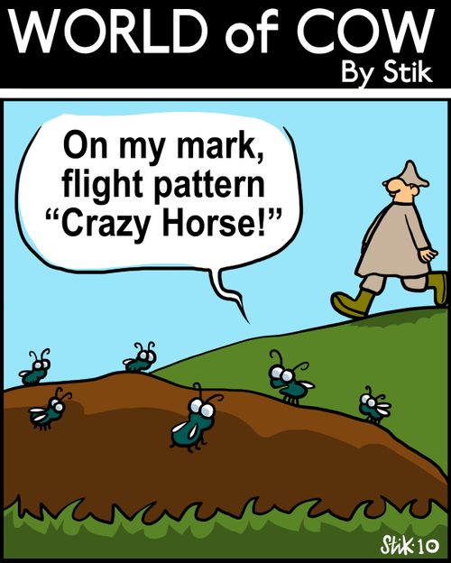 'On my mark, flight pattern 'Crazy Horse!''