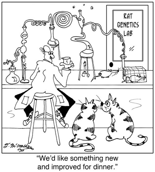 'We'd like something new and improved for dinner.'
