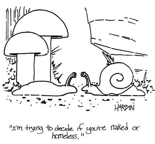 'I'm trying to decide if you're naked or homeless.'