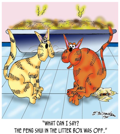 'What can I say? The Feng Shui in the litter box was off.'