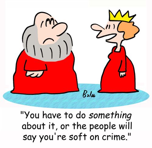 'You have to do SOMETHING about it, or people will say you're soft on crime.'