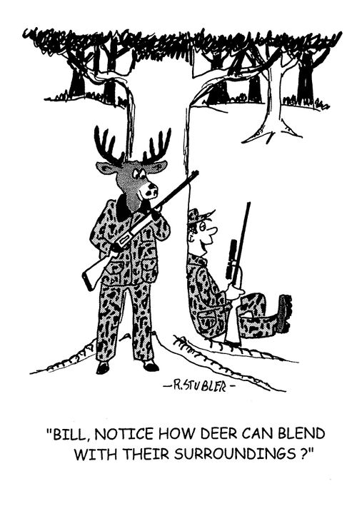'Bill,notice how deer can blend with their surroundings?'