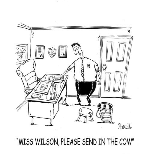 Miss Wilson, please send in the cow.