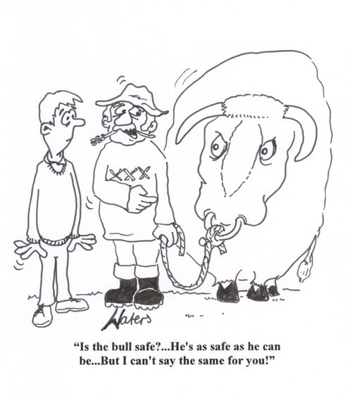 'Is the bull safe?... He's safe as he can be... But I can't say the same for you!'