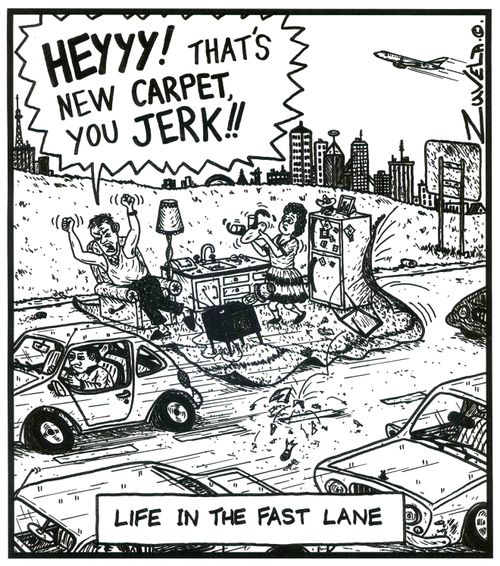 'HEYYY! That's new CARPET,you JERK!!' - Life in the fast lane.