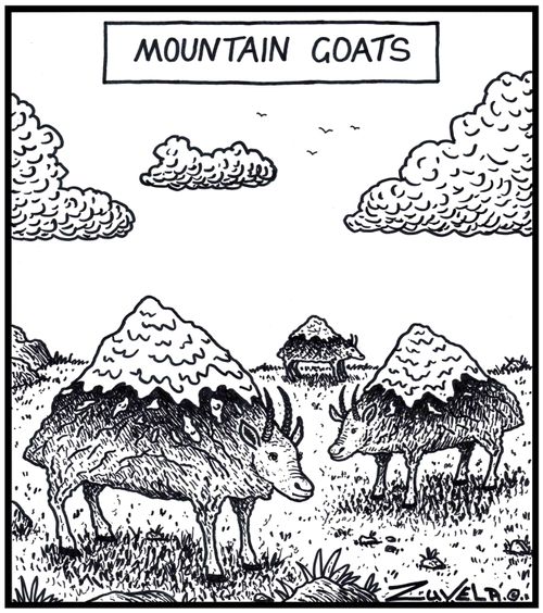 Mountain Goats.