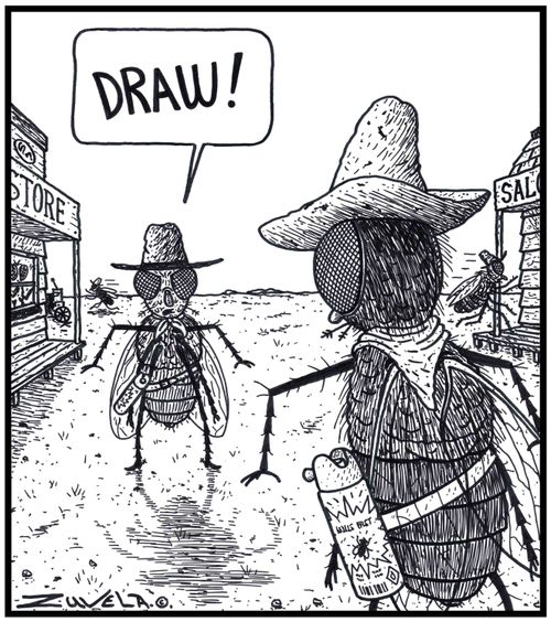 Two Fly Cowboys about to fight it out using Insect spray.