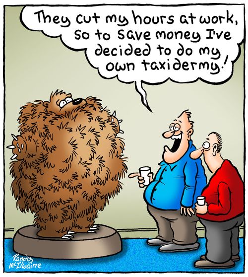 'They cut my hours at work, so to save money I've decided to do my own taxidermy!'