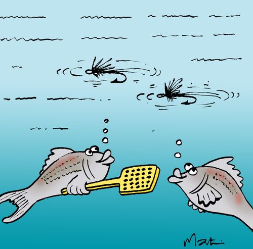 Fly fishing.