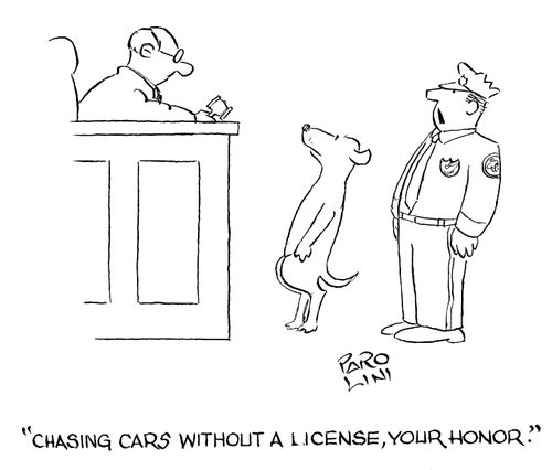 'Chasing cars without a license, your Honor.'