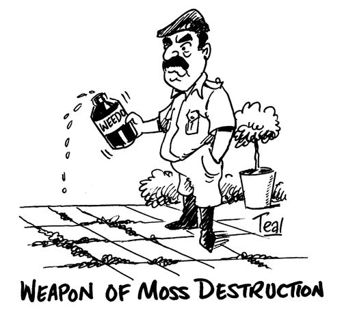 'Weapon of Moss Destruction.'