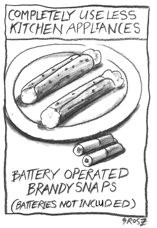 Completely Useless Kitchen Appliances
