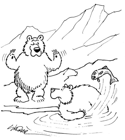 Polar Bear Challenges Another Bear