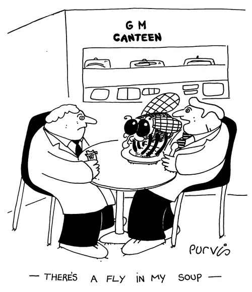 "There's a fly in my soup."