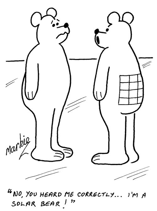 "No you hear me correctly, I'm a solar bear"