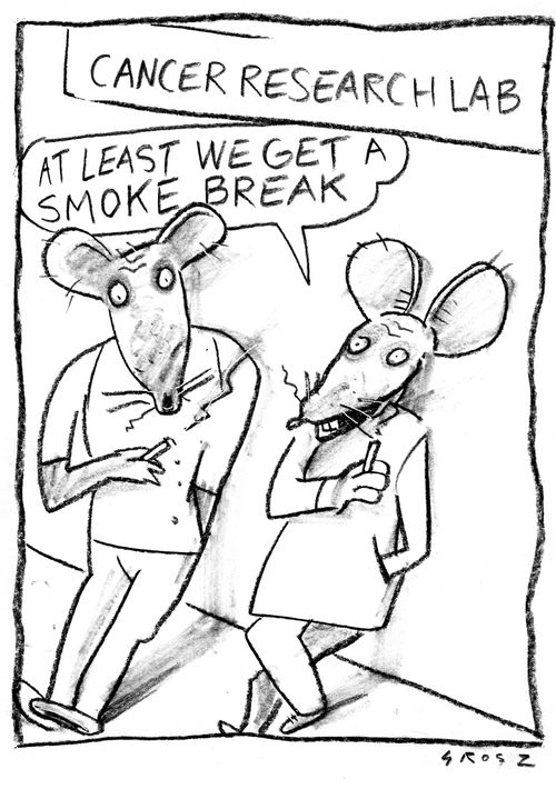 Cancer research lab workers - 'At least we get a smoke break.'