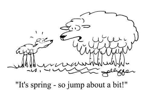 'It's spring - so jump about a bit!'