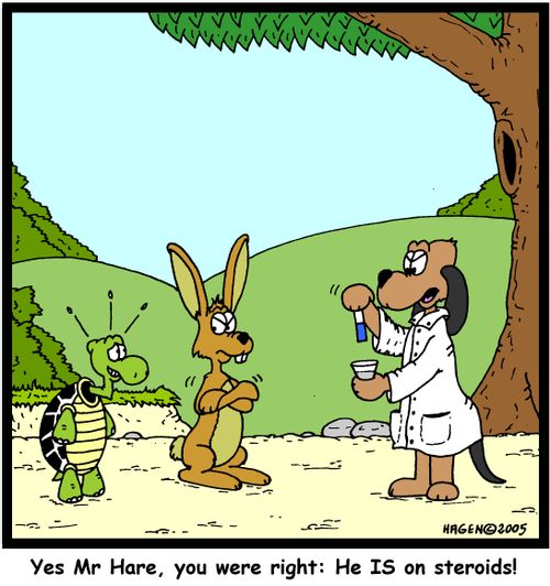 'Yes Mr Hare, you were right: He IS on steroids!'