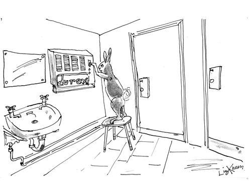 Rabbit using the condom machine.
